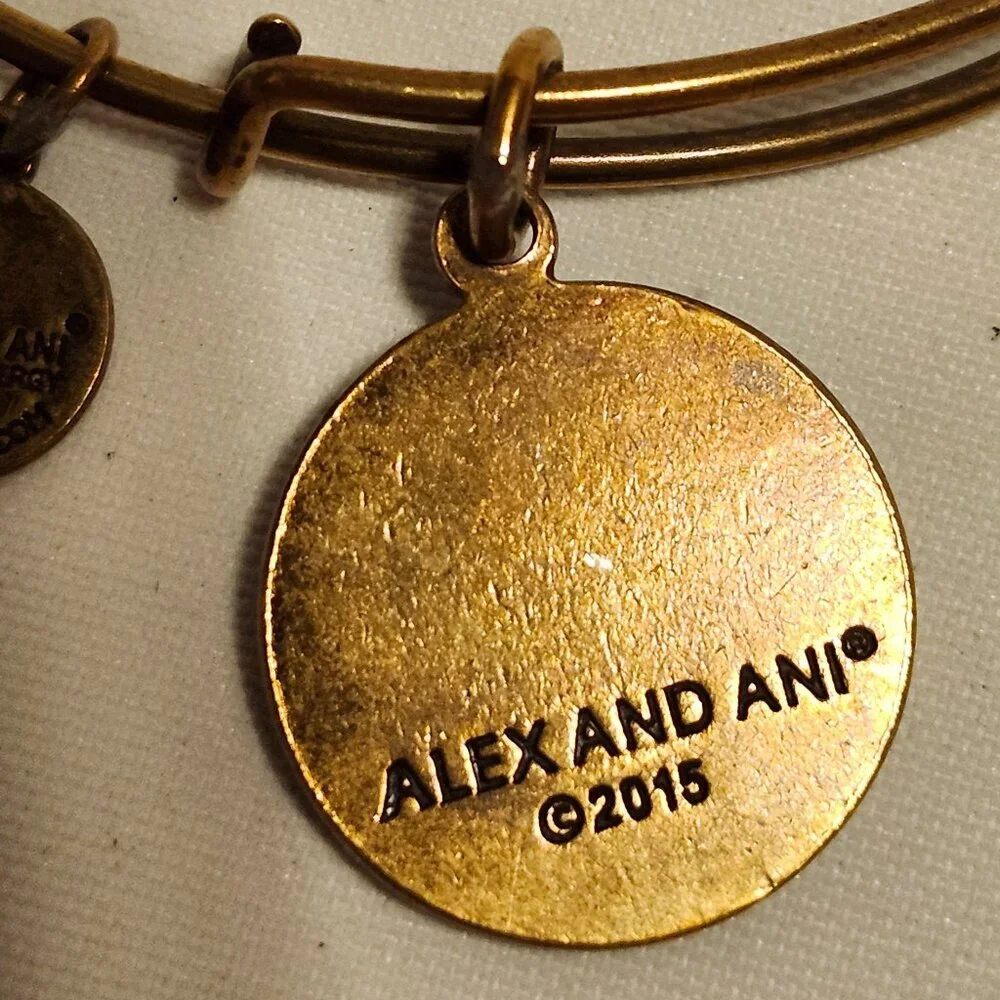 Alex and Ani Las Vegas Poker Chip Charm Gold Tone Energy Bangle Rafaelian Gold - Picture 3 of 8